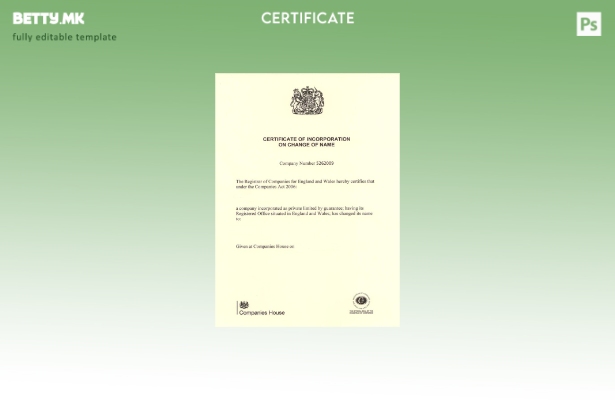 модерен стил САД Компаниите поседуваат сертификат за инкорпорирање на шаблон за