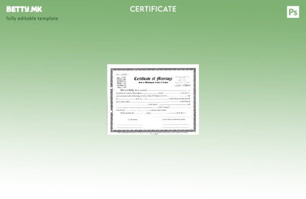 модерен стил САД Секретарот за брак во Вашингтон Шаблон за потврда за брак