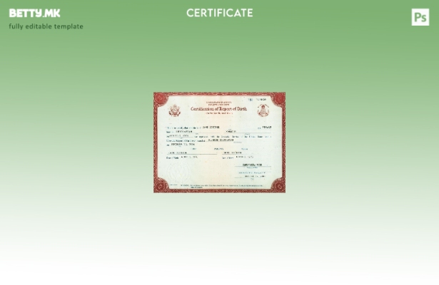 модерен стил САД сертификација на извештајот за раѓање вашингтон шаблон