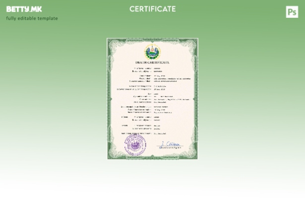 модерен стил Салвадор од витално значење запис за смртен шаблон PSD шаблон