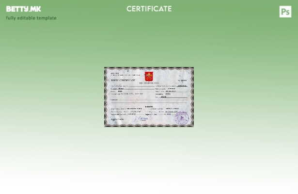 модерен стил Светата столица од витално значење за евиденција на извод од матичн