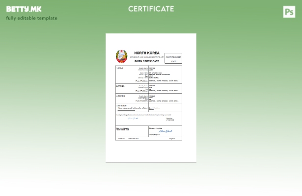модерен стил Северна Кореја извод од матична книга на родени Шаблон Word и PDF ш