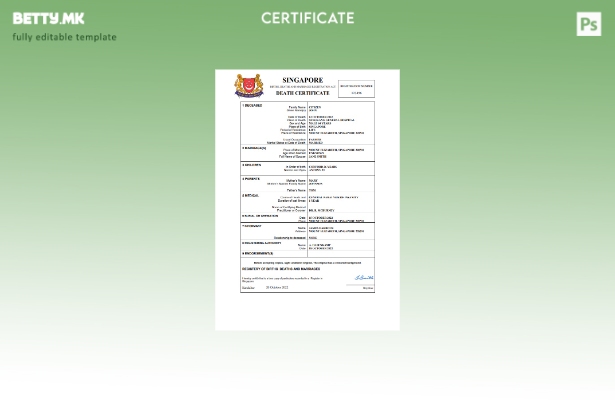 модерен стил Сингапур витален рекорд за смртен шаблон Word и PDF шаблон