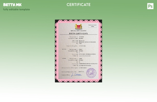модерен стил Сингапурски шаблон за ПСД од извод од матична книга на родени од ви
