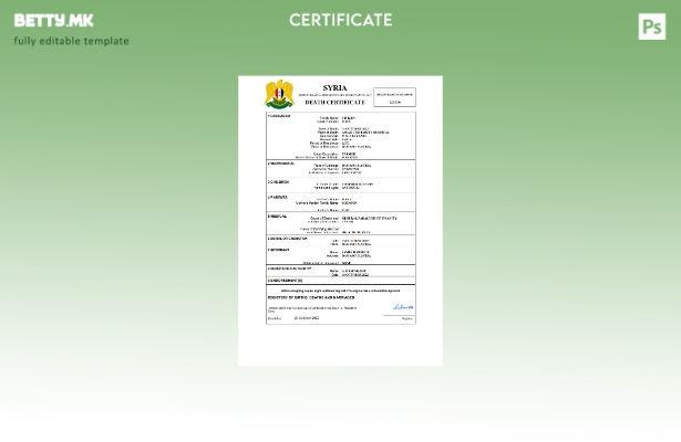 модерен стил Сирија витална евиденција за смртен шаблон Word и PDF шаблон
