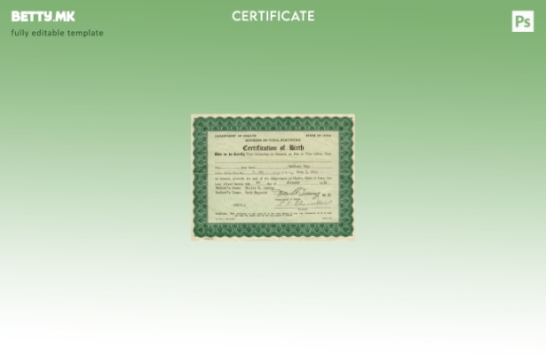 модерен стил Соединетите Американски Држави Ајова поделба на Vital Statistics ша