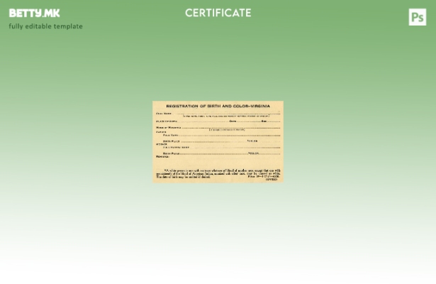 модерен стил Соединетите Американски Држави Канцеларија за витални записи на шаб