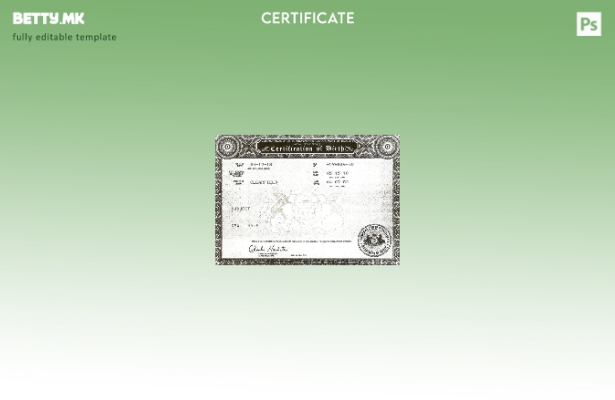 модерен стил Соединетите Американски Држави Комонвелт на Пенсилванија шаблон з 2