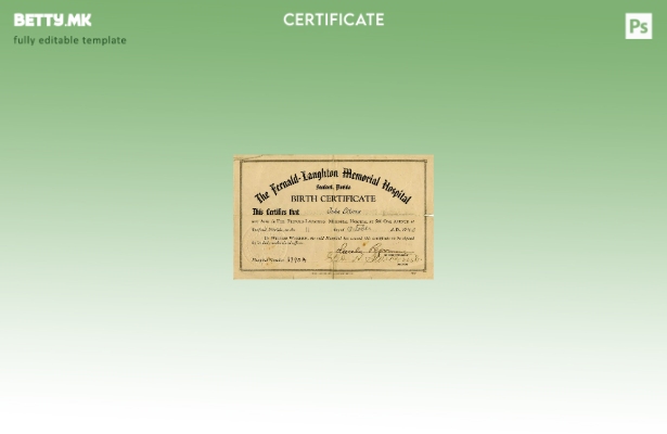 модерен стил Соединетите Американски Држави, шаблонот за извод од матичната книг