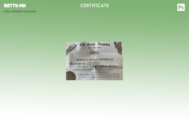 модерен стил Соединетите Американски Држави, шаблонот за извод од матичната кн 1