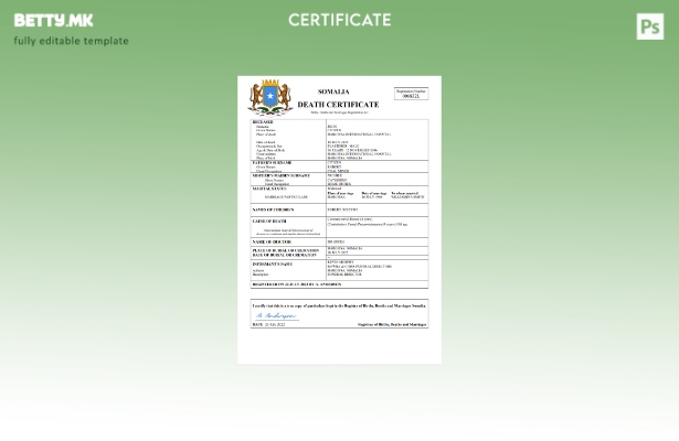 модерен стил Сомалија витален рекорд за смртен шаблон Word и PDF шаблон
