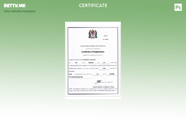 модерен стил ТАНЗАНИЈА деловен рег. шаблон за сертификат