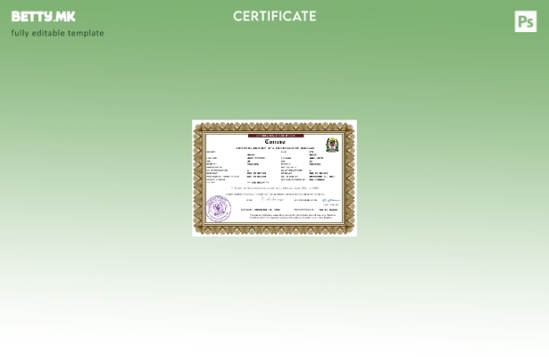 модерен стил Танзанија венчаница Шаблон Word и PDF шаблон