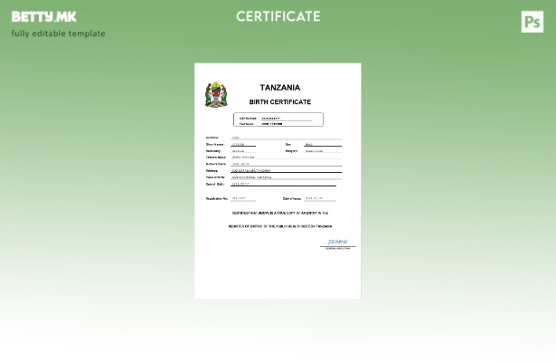 модерен стил Танзанија извод од матична книга на родени Шаблон за Word и PDF