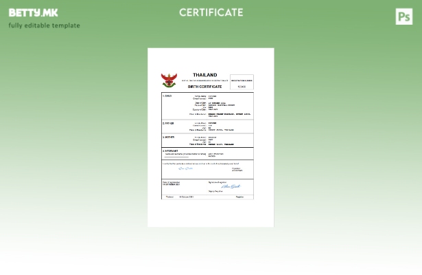 модерен стил Тајланд витален рекорд извод од матичната книга на родените Шаблон