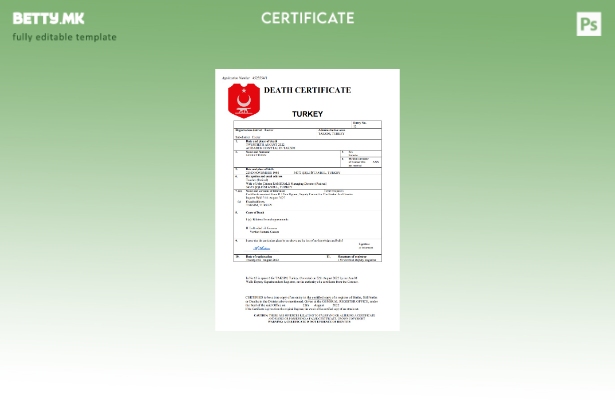 модерен стил Турција од витално значење за умрениот шаблон Word и PDF шаблон