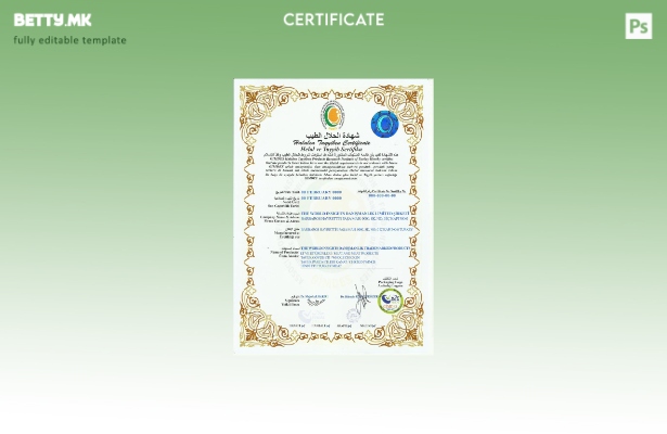 модерен стил Турција Halalen Tayyiben шаблон примерок за сертификат PSD