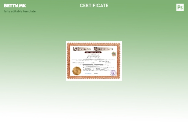 модерен стил Уверение за брак од Свети Китс и Невис Шаблон за шаблон Word и PDF