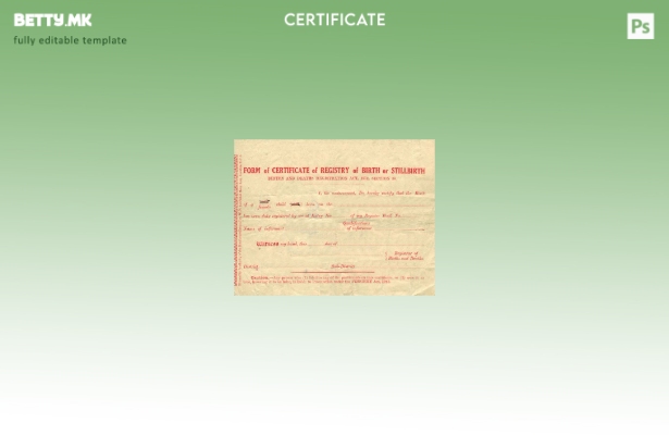 модерен стил Уверение за матична книга на родени и умрени или шаблон за мртвород