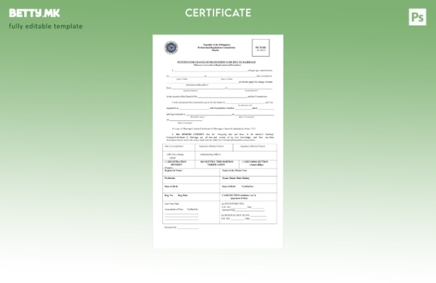 модерен стил Филипини Професионални прописи комисија за промена на името шаблон