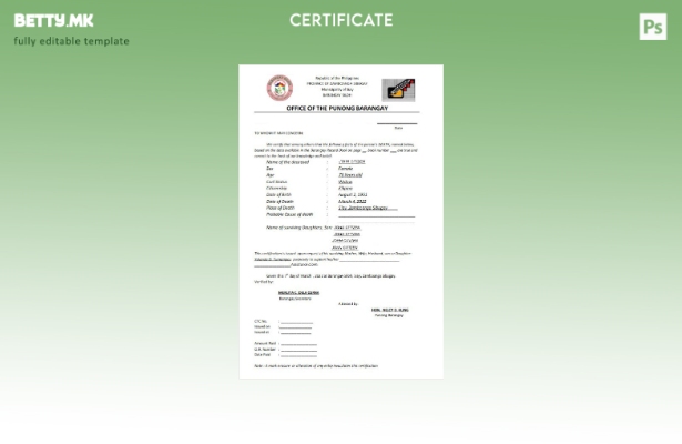 модерен стил Филипинска канцеларија на шаблонот за сертификат за смрт на баранге