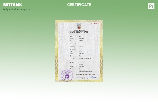 модерен стил Франција витален рекорд извод од матична книга на родените ПСД ша