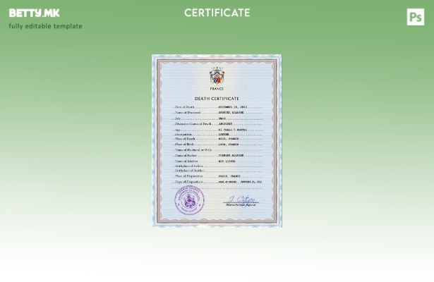 модерен стил Франција витална евиденција за смртен шаблон PSD шаблон