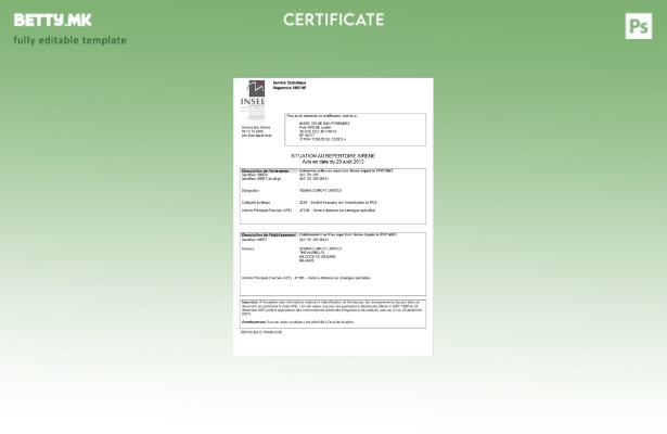 модерен стил Франција INSEE потврда за регистрација Шаблон за Word и PDF