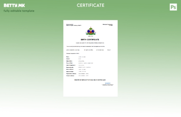 модерен стил Хаити од витално значење извод од матична книга на родените Шабло