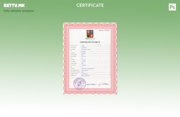 модерен стил Чешка витална евиденција за извод од матична книга на родените ПС