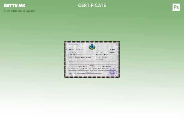 модерен стил Чиле витален рекорд извод од матичната книга на родените шаблон PSD