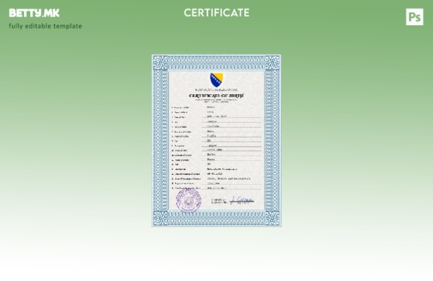 модерен стил Шаблон ПСД од извод од матична книга на родени Босна и Херцеговина