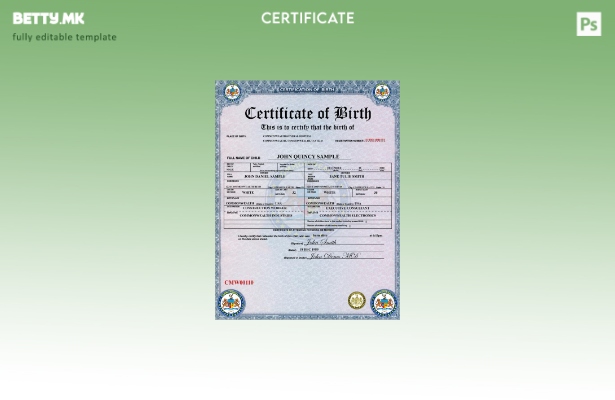 модерен стил Шаблон за извод од матична книга на родени во општа болница на Соед