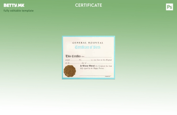 модерен стил Шаблон за извод од матична книга на родени во општа болница