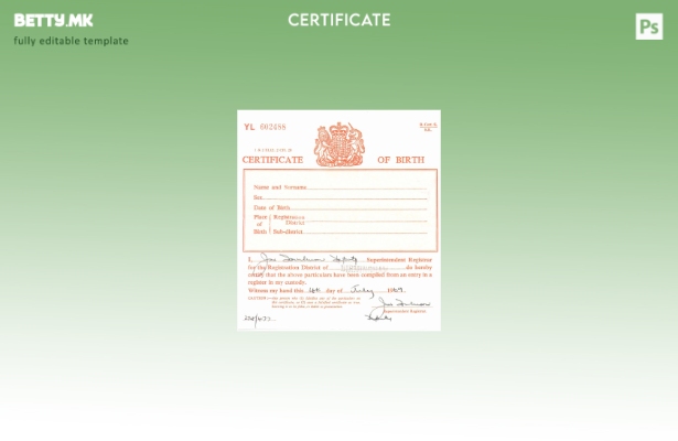 модерен стил Шаблон за извод од матична книга на родени за регистрација во округ