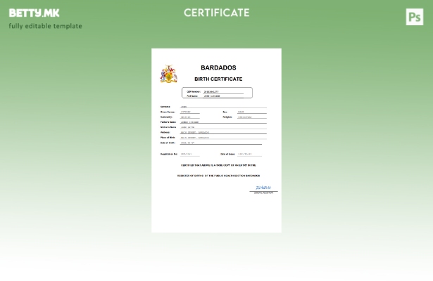 модерен стил Шаблон за извод од матична книга на родените Барбадос во шаблон