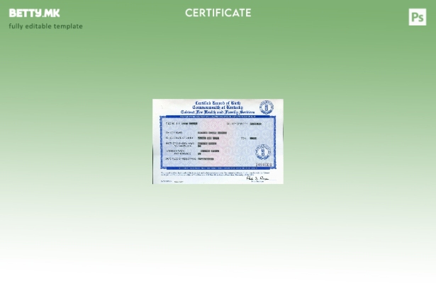 модерен стил Шаблон за извод од матична книга на родените Соединетите Американск