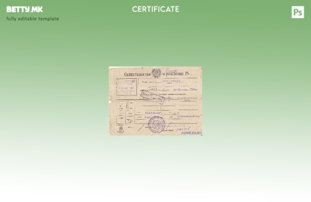 модерен стил Шаблон за извод од матична книга на родените за граѓанска регистрац