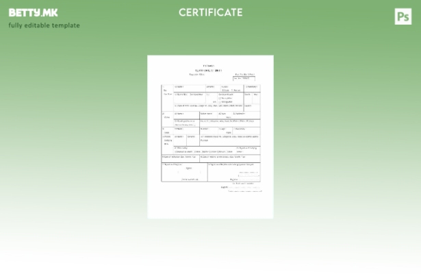 модерен стил Шаблон за извод од матична книга на родените