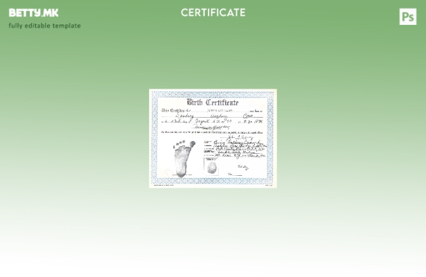 модерен стил Шаблон за извод од матичната книга на родените во болницата Њујорк