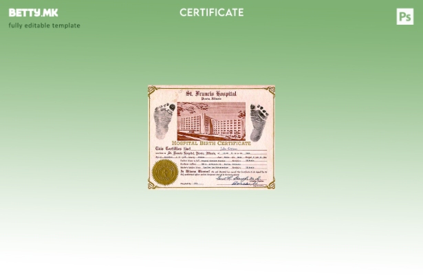 модерен стил Шаблон за извод од матичната книга на родените во болницата во Соед