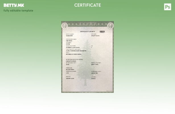 модерен стил Шаблон за извод од матичната книга на родените во државата Вашингто