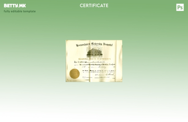 модерен стил Шаблон за извод од матичната книга на родените во породилната болни