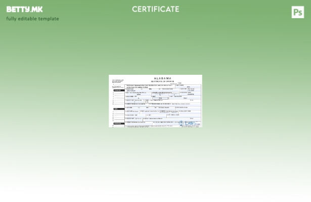 модерен стил Шаблон за потврда за развод на претставник на подносителот на САД