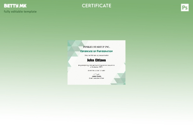 модерен стил Шаблон за сертификат за учество на САД