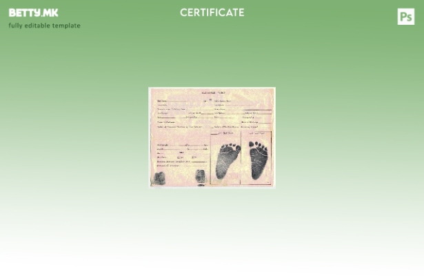 модерен стил Шаблон за статистичка евиденција на извод од раѓање