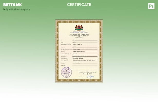 модерен стил Шаблон за шаблон за ПСД од уверение за смрт од витален рекорд од Ле
