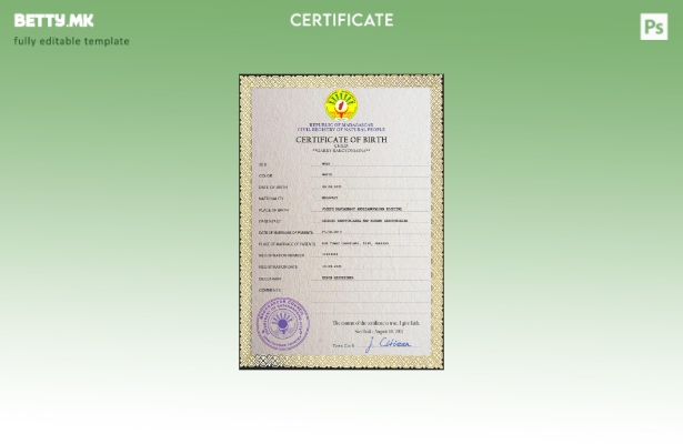 модерен стил Шаблон за PSD извод од мадагаскар на матичната книга на родените