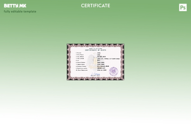 модерен стил Шаблон за PSD извод од матична книга на родените во Јужен Судан