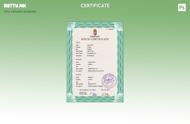 модерен стил Шаблон за PSD извод од матична книга на родените во Унгарија